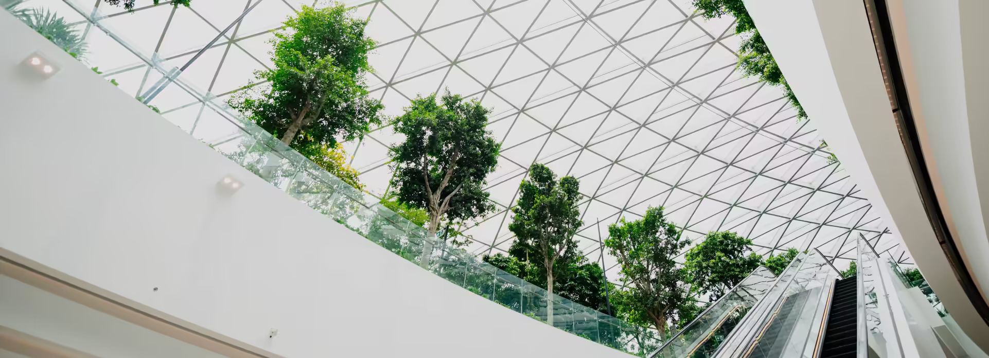 Obras y Asesoramiento de Arquitectura Sustentable