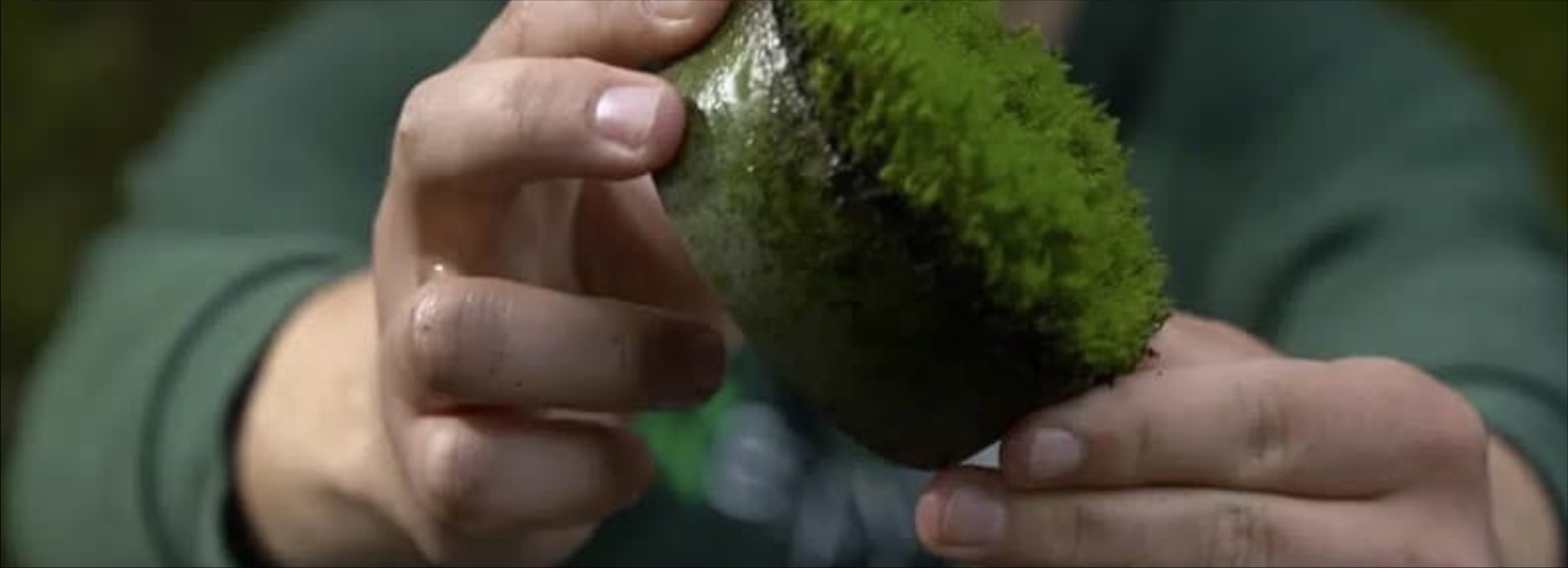 Diseño y Fabricación de Productos para Bioconstrucción